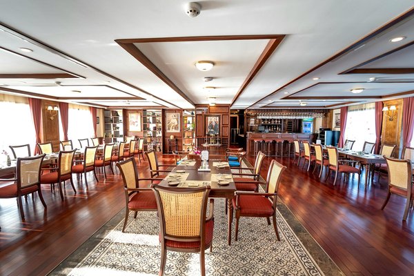 Top recettes de céréales vegan : booster votre petit-déjeuner riche en protéines